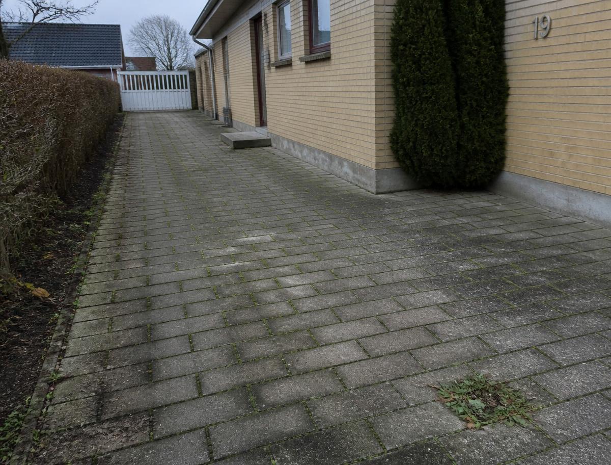 Indkørsel med ukrudt i fugerne og alger på belægningen